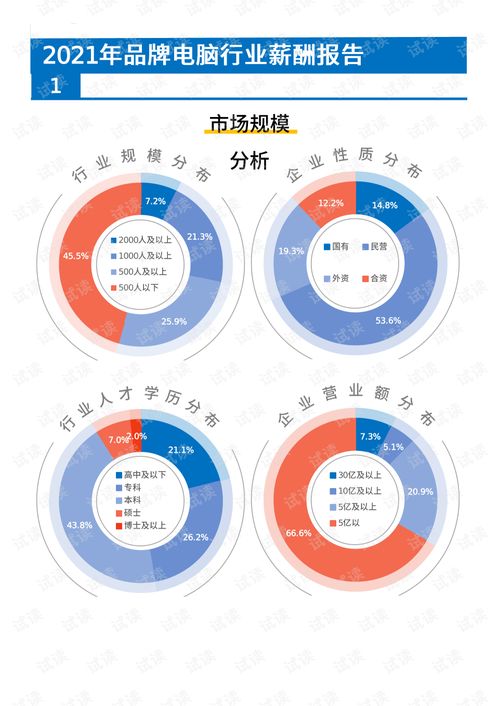 2021年薪酬報告 高科技互聯(lián)網(wǎng)品牌電腦行業(yè)薪酬調(diào)查與計算機(jī)技術(shù)咨詢發(fā)展分析